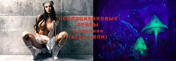 прущая мука Вязьма