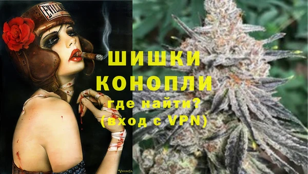 гидра Вязники