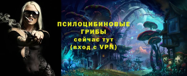 прущий лед Володарск