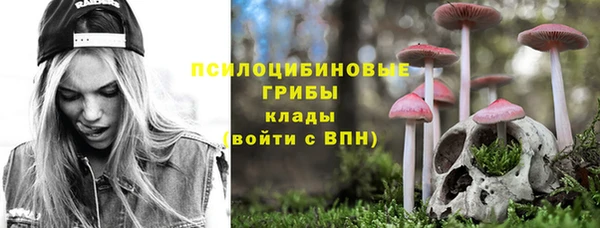 кокс Вяземский