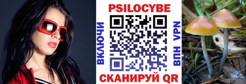 маркетплейс официальный сайт  Ленинградская  Псилоцибиновые грибы прущие грибы 